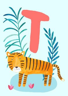 the letter t is for tiger