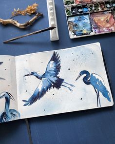 an open book with blue birds painted on it