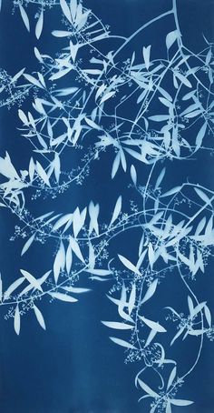 blue and white photograph of branches against a dark blue background, with small leaves in the foreground