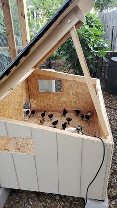 the inside of a chicken coop with chickens in it's nesting box and roof