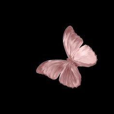 a pink butterfly flying through the air on a black background, with only one wing visible