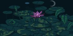 a purple flower sitting in the middle of some water lilies and lily pads at night