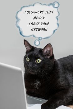 a black cat sitting on top of a laptop computer with a thought bubble above it