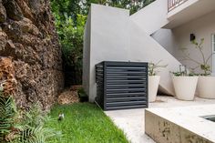 an outdoor area with grass and plants next to a building