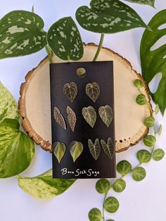 four leaf shaped magnets sitting on top of a piece of wood next to green leaves