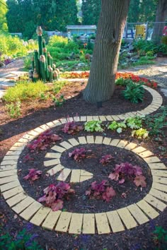 a circular brick path in the middle of a garden