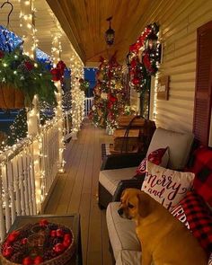 a dog is sitting on the porch with christmas decorations