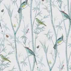 a wallpaper with birds and bamboo branches on white background, including one bird in the foreground