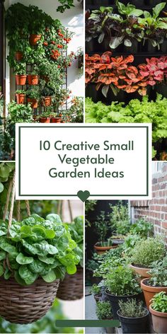 the top ten creative small vegetable garden ideas