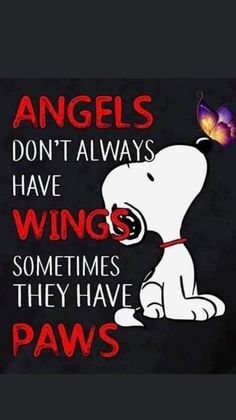 a white dog with a purple butterfly on it's nose and the words angels don't always have wings sometimes they have paws