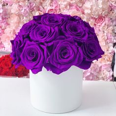 a white vase filled with purple and red roses next to a wall of pink flowers