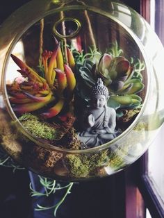 a glass vase filled with succulents and a buddha figurine in it