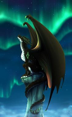 a dragon sitting on top of a rock next to an aurora bore in the sky