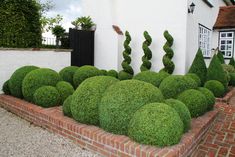 some very pretty green bushes in front of a house