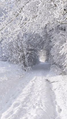 a snowboarder is going down a snowy path