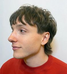 Mens Thinning Hairstyles, Unique Hairstyles Men, Wolf Cut Hair Men, Wolf Hairstyles, Wolfcut Men, Mens Straight Hairstyles, Shag Hairstyles Short, Mens Wolf Cut, Male Wolf Cut