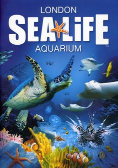 the london sea life aquarium is shown in this poster for children's book,