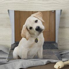 a white dog is sitting on the floor in front of a door with a bone