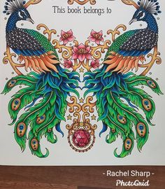 this book belongs to peacocks with intricate designs