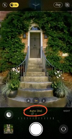 an image of a house with stairs and plants on the steps, which are circled by a red circle