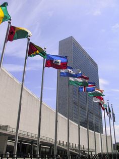 several flags are flying in front of a building