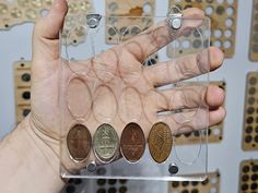 a person holding five different types of coins in front of some type of display cases