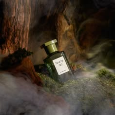 a bottle of perfume sitting on top of a moss covered ground