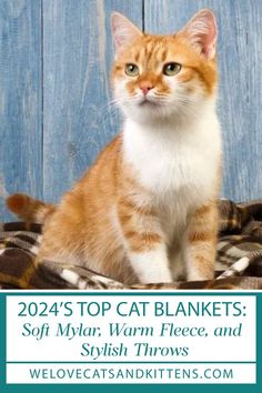 an orange and white cat sitting on top of a blanket with the words, 2012's top cat blankets soft man warm fleece and stylish throws