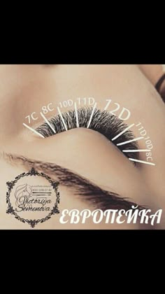 Lash Lounge, Eye Ideas, Brow Care