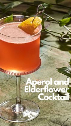 an orange and elderflower cocktail in a coupe glass with a garnish on the rim