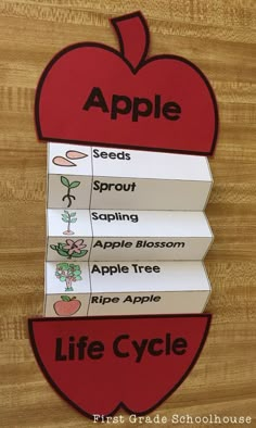 an apple life cycle on a wooden surface