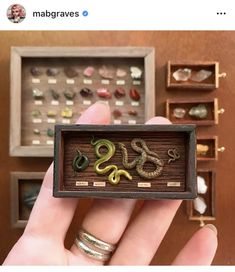 someone is holding up a miniature box with snakes in it