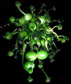 a bunch of green plants with water droplets on them in the dark, lit up