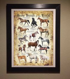 horse breeds of the world poster in a black framed frame on a beige wall with brown trim