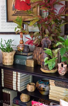 a book shelf filled with lots of books and plants