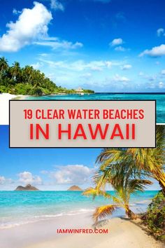 clear water beaches in hawaii with text overlaying the image and palm trees on the beach