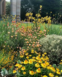 yellow and pink flowers in the middle of a garden with an obelisk in the background