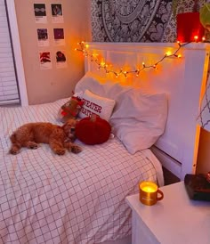 a dog is laying on the bed with its headboard down and lights strung above it