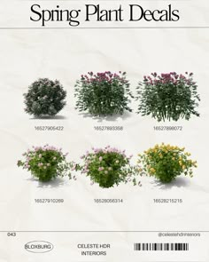 a bunch of flowers that are on top of each other in front of a white background