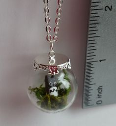 a small glass ball with moss in it and a silver chain hanging from the bottom