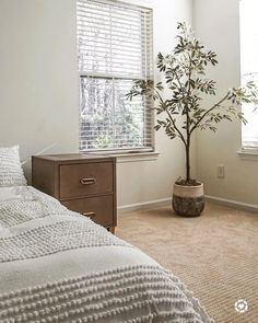 a bedroom with a plant in the corner