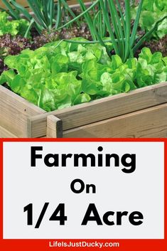 a garden with lettuce growing in it and the words farming on 1 / 4 acre