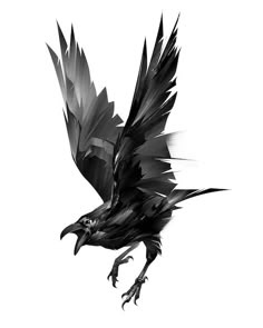 a black bird flying in the air with its wings spread