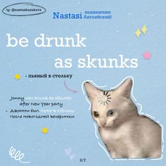 an advertisement with a cat in the middle and stars on it's forehead, as well as caption that reads be drunk as skunks