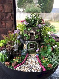 a bowl filled with lots of plants and rocks