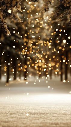 a snowy scene with trees and lights in the background