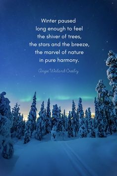 trees covered in snow under a night sky with the quote winter passed long enough to feel the silver of trees, the stars and the breeze, the