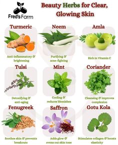 Muscle Chart, Herbs For Skin, Good Morning Flowers Gif, Diy Body Care, Life List, Herbal Healing, Flowers Gif, Diy Body