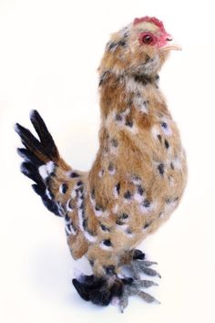 a brown and black chicken with spots on it's body, standing in front of a white background