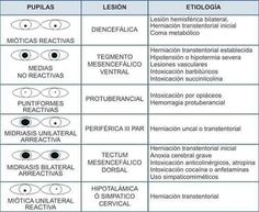 a table with different types of eyeballs and their corresponding names in spanish or english